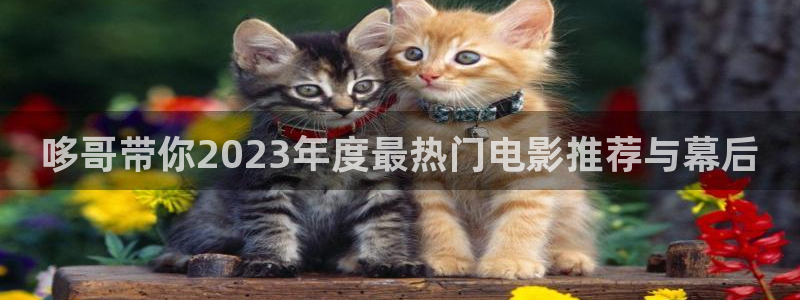 意昂2登录入口