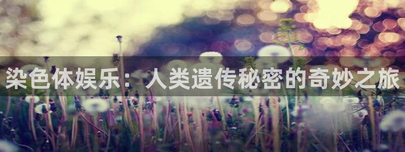 意昂3代理