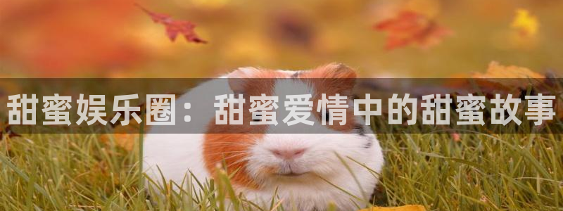 意昂3娱乐