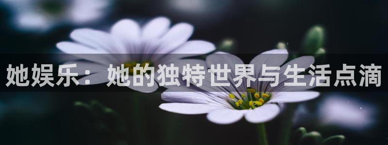 意昂2登录