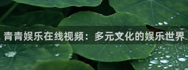 意昂3娱乐